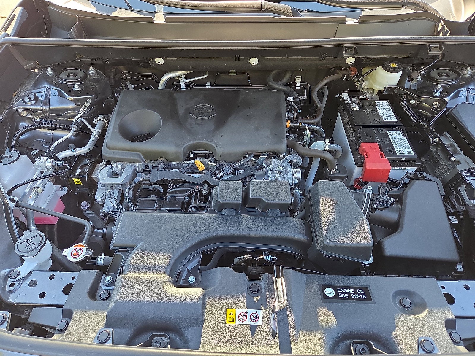 2025 Toyota RAV4 XLE AWD