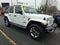 2019 Jeep Wrangler Unlimited Sahara 4x4