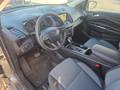 2019 Ford Escape SE 4WD