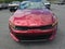 2024 Kia K5 GT-Line Auto AWD